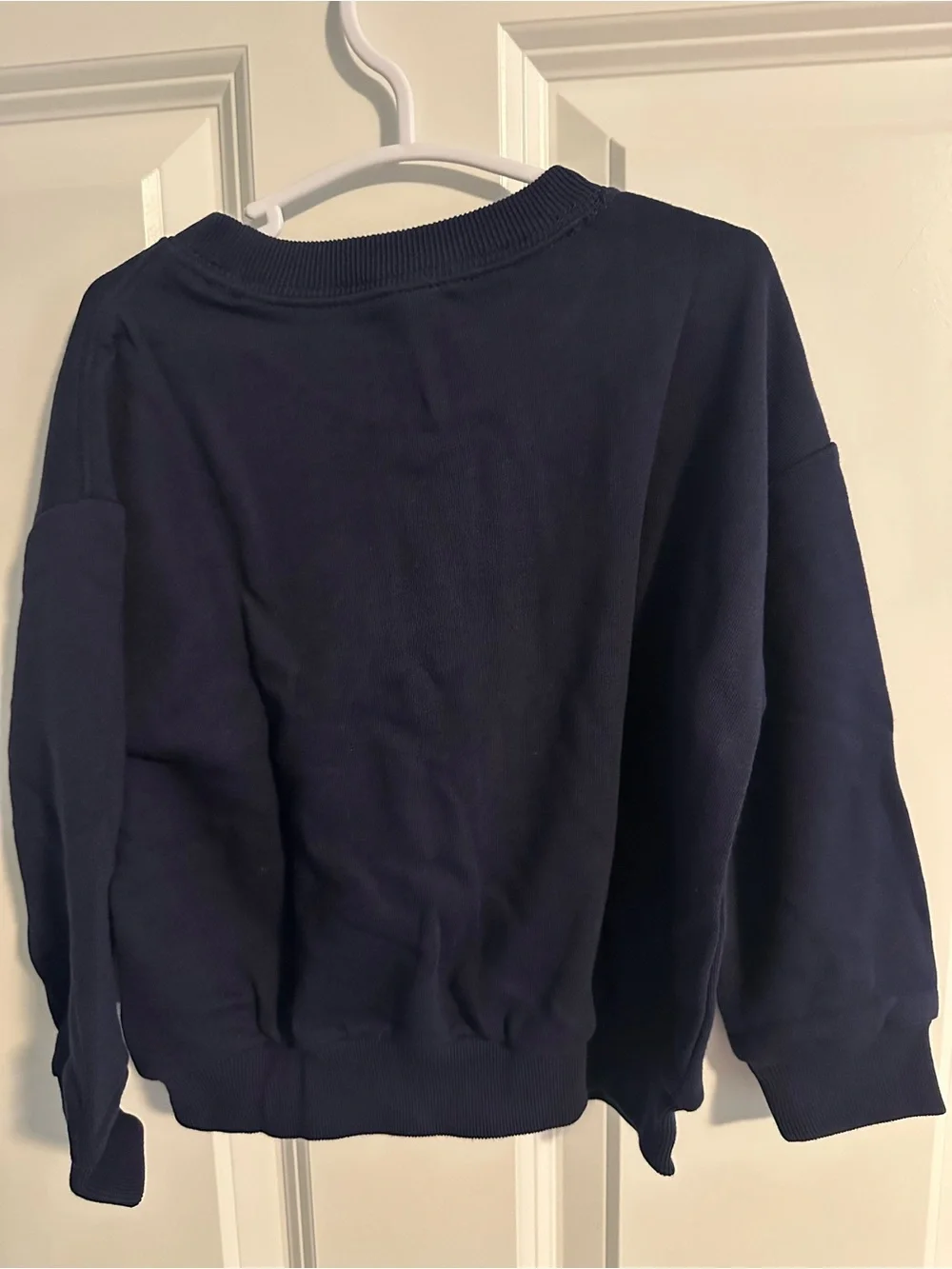 GAP Navy Sweatshirt with Pink & Blue Dinosaur Graphic